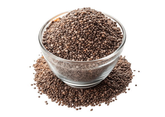 Unlocking Creativity with 3D Chia Seeds Isolated on Transparent